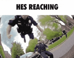Police Officer GIF