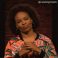 Seth Meyers Fighting GIF by Late Night with Seth Meyers
