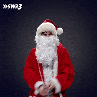 Happy Merry Christmas GIF by SWR3