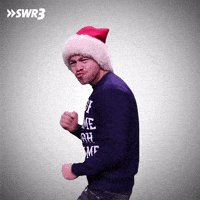 Merry Christmas Dance GIF by SWR3