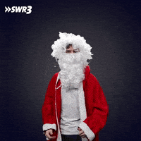Happy Merry Christmas GIF by SWR3
