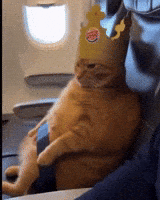 Burger King Ai GIF by Respective