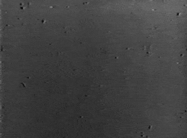 art film GIF by hoppip