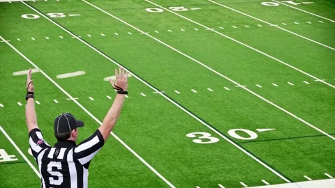 Super Bowl Win GIF