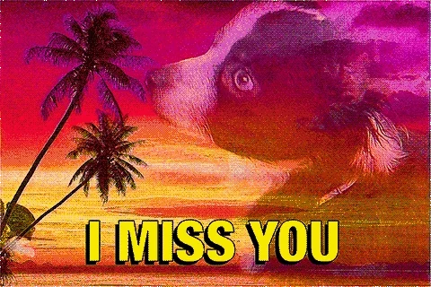 Miss U GIF