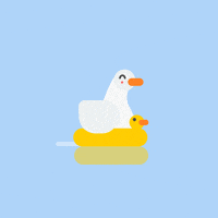 rubber duck swimming GIF by Motiongarten