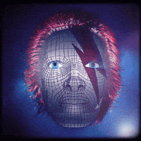 David Bowie GIF by Todd Rocheford