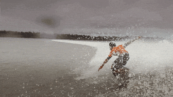 forces of nature GIF by PBS