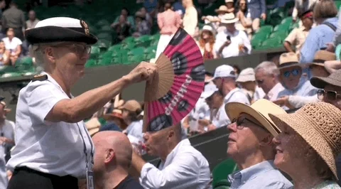 Sport Fanning GIF