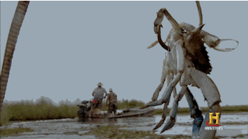 history channel water GIF by Endemol Beyond