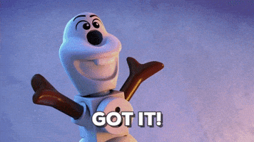 northern lights disney GIF by LEGO