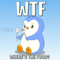Penguin Wtf GIF by Pudgy Penguins