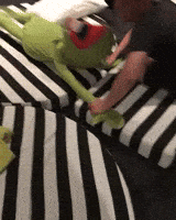 Kermit The Frog Wwe GIF