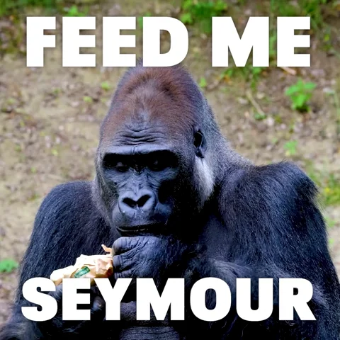 Hungry Mary Jane GIF