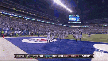 philadelphia eagles GIF by NFL