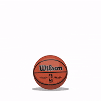 Basketball Nba GIF by SportsManias