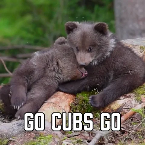 Chicago Cubs Sport GIF