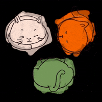 Cats Sleep GIF