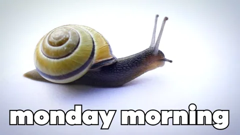 Monday Morning Lol GIF