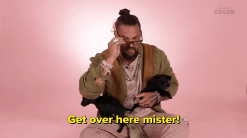 Jason Momoa Puppies GIF by BuzzFeed