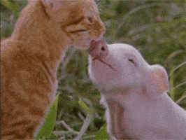 biting milo and otis GIF