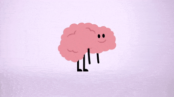 Tru Tv Are309 GIF by truTV’s Adam Ruins Everything