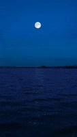water moon GIF by Living Stills