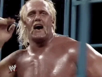 Hulk Hogan Sport GIF