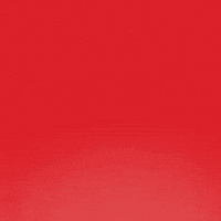 Happy Birthday GIF by Sesame Street