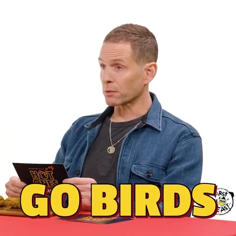 Philadelphia Eagles Birds GIF