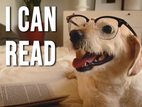 I Can Read Awww GIF