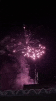 Happy New Year GIF by Robert E Blackmon