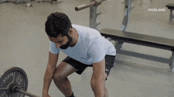 viceland GIF by WEEDIQUETTE