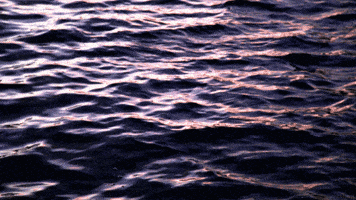 Water Waves GIF by Living Stills
