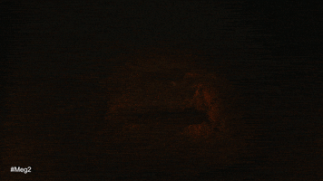 The Trench Shark GIF by Warner Bros. Pictures