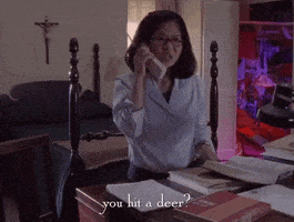 season 1 netflix GIF by Gilmore Girls 