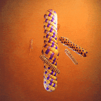 Loop Visuals GIF by xponentialdesign