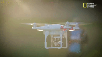 GIF by National Geographic Channel