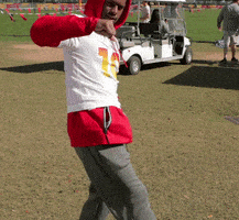 Pittsburgh Steelers Football GIF by NFL