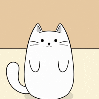 Cat Animation GIF by MESA My Emotional Support Animal