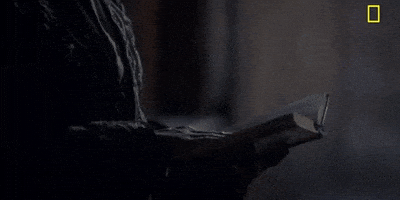 Episode 2 GIF by National Geographic Channel