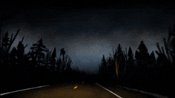 Driving Andy Shauf GIF by ANTI- Records