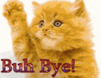 Cat Goodbye GIF