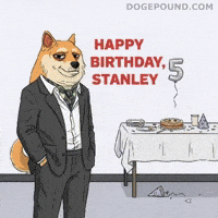 Happy Birthday Party GIF by Doge Pound