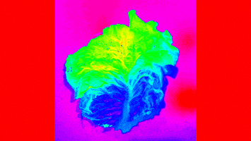 new media animation GIF by Ryan Seslow