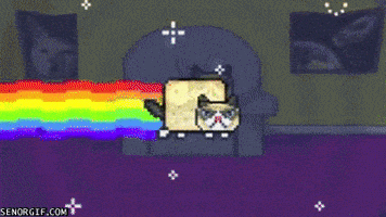 grumpy cat GIF