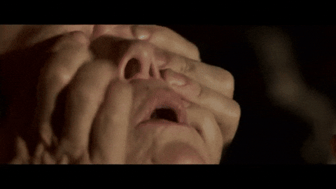 See Bird Box GIF