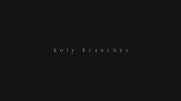 music video holy branches GIF by Radical Face