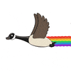 I’m flying to Phoenix for the irl…