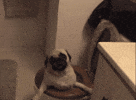Potty training